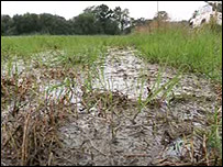 The festival site on Tuesday 21 August 2007