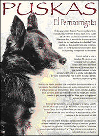 Empresa também faz biografia de animais