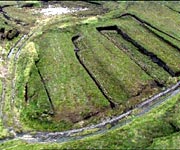 Aerial picture of the fields of peat