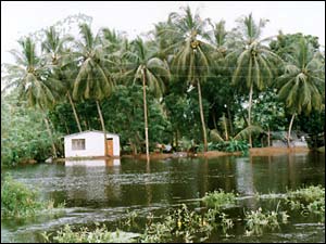 Floods in Ampara district (Library photo)