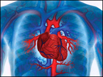 زړه او وينه