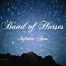 Review of Infinite Arms