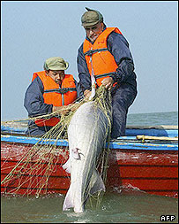 ماهيگيران ايرانی دريای خزر