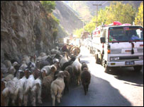 سوات(فائل فوٹو)