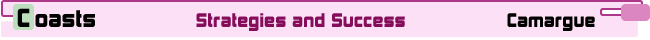 Coasts: The Camargue:strategies and Success