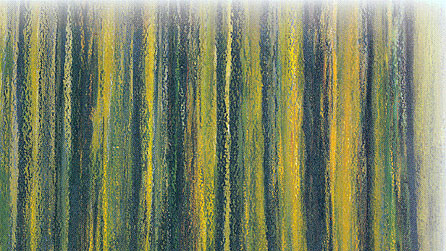 Rhan o glawr y llyfr