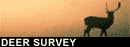 Deer Survey