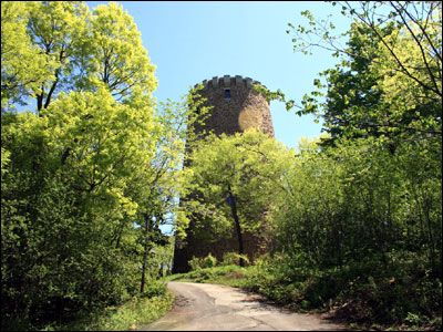 عکس از رضا دهقان