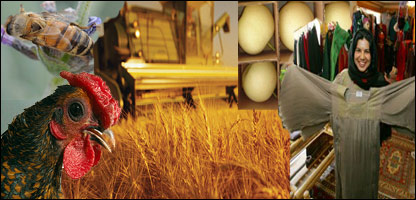 " په خاورو کې زر"