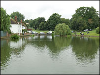 Great Dunmow's Doctors pond
