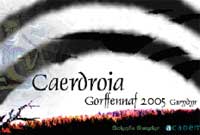 Caerdroia - poster