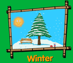 Winter evergreen tree