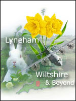 Part of Lyneham Wiltshire and Beyond's homepage