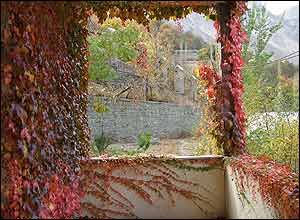 عکس از مريم آموزگار