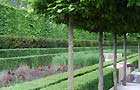 Chelsea 2009 (Image: Laurent Perrier garden)