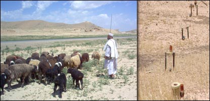 ماينونه اوڅړځايونه