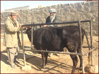 د کوپراتيف غړي