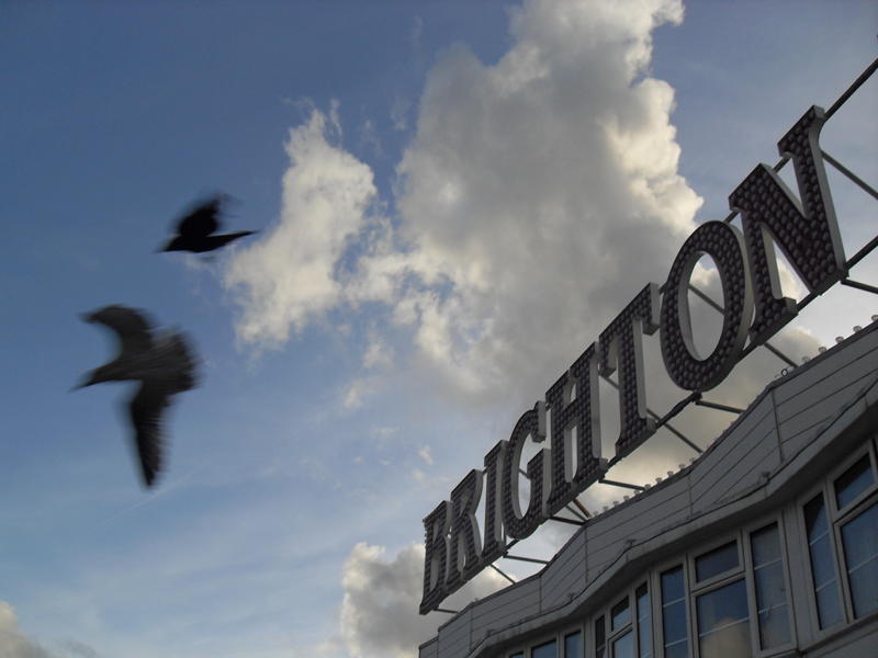 sign of Brighton on Brighton pier with seagulls flying by