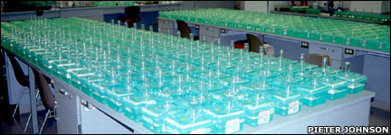 Experimental chambers