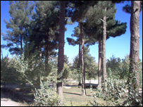 پاراک ميربچه کوت