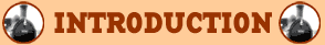 introduction