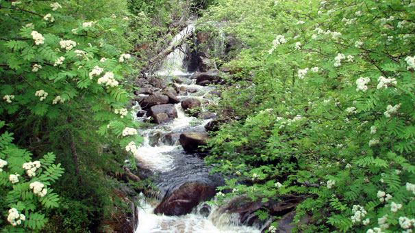 Waterfalls from the bridge at Bachnagairn.