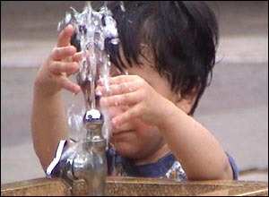 عکس از مژگان تاجبخش