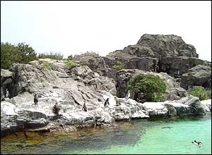 عکس از محسن جلالی