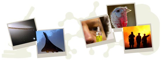 विज्ञान 2003