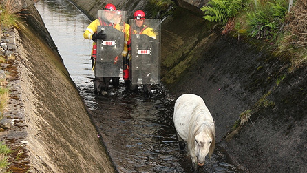 Firemen begin their rescue attempt using shields for protection.