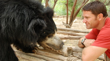 Steve Backshall meets a sloth bear