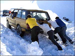 شهرناز زرکش