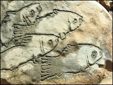 نمایی از فیلم رودخانه هنوز ماهی دارد ساخته مجتبی میرطهماسب