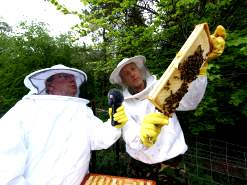 Lionel Kelleway (left) and Major Cheris Wilkes looking at the resident honey bees on Salisbury Plain.