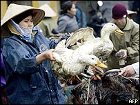 Tržiště ve Vietnamu