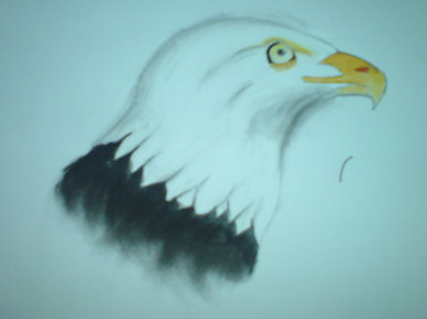 Eagle