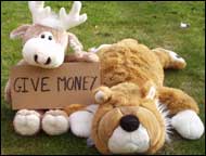 Tigger and Clive sitting on the grass