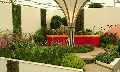 Anna's Sanctuary in the Shade