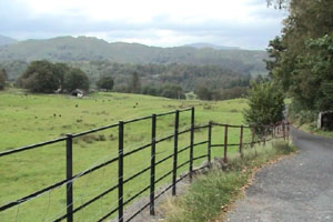 Nick is fed up with tourists who drive slowly