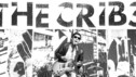 The Cribs - Main Stage