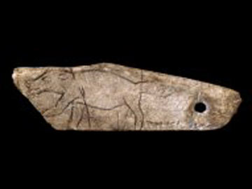 Thirteen thousand year old wolverine pendant from Les Eyzies, Dordogne