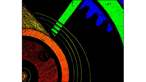 Cronômetro (Foto: Rebekah R. Helton/Department of Biological Sciences, University of Delaware/Cortesia Nikon Small World)
