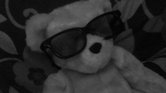 Teddy cool :)...