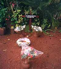 The Grave of Dr Mattew Lukwiya