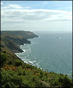 Coast neat Bolt Head