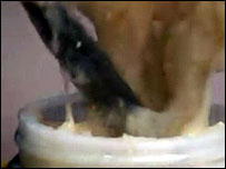 An image from the report