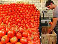 رومي بانجان