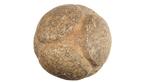 Scottish carved stone ball