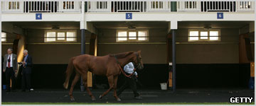 The Pre-Parade Ring at Ascot