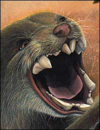 Desenho do leão marsupial